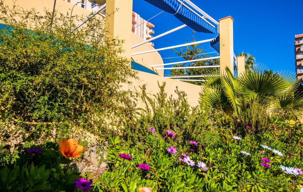36 Jupiter Apartamento - Vista Al Jardin Y La Piscina - Excelente Wifi เบนัลมาเดนา ภายนอก รูปภาพ