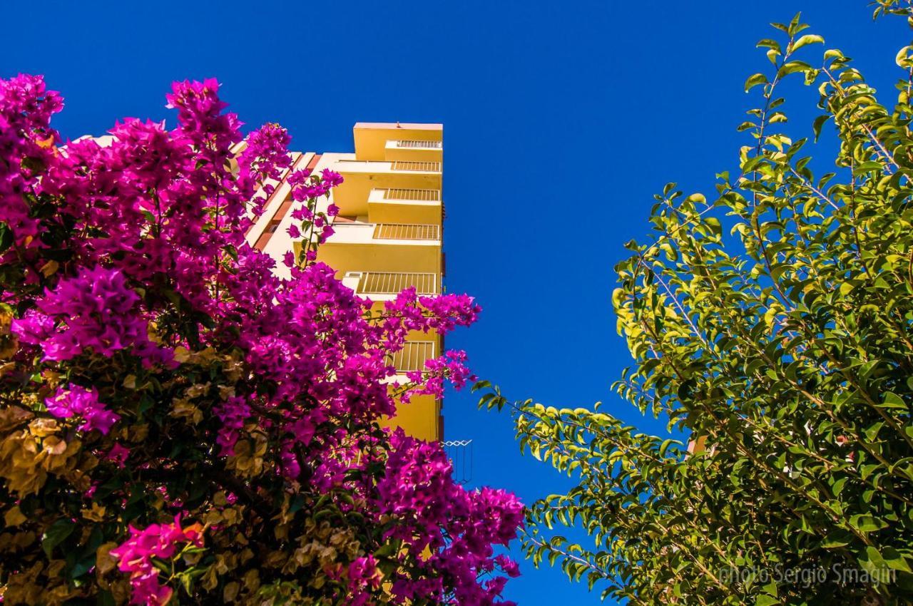 36 Jupiter Apartamento - Vista Al Jardin Y La Piscina - Excelente Wifi เบนัลมาเดนา ภายนอก รูปภาพ