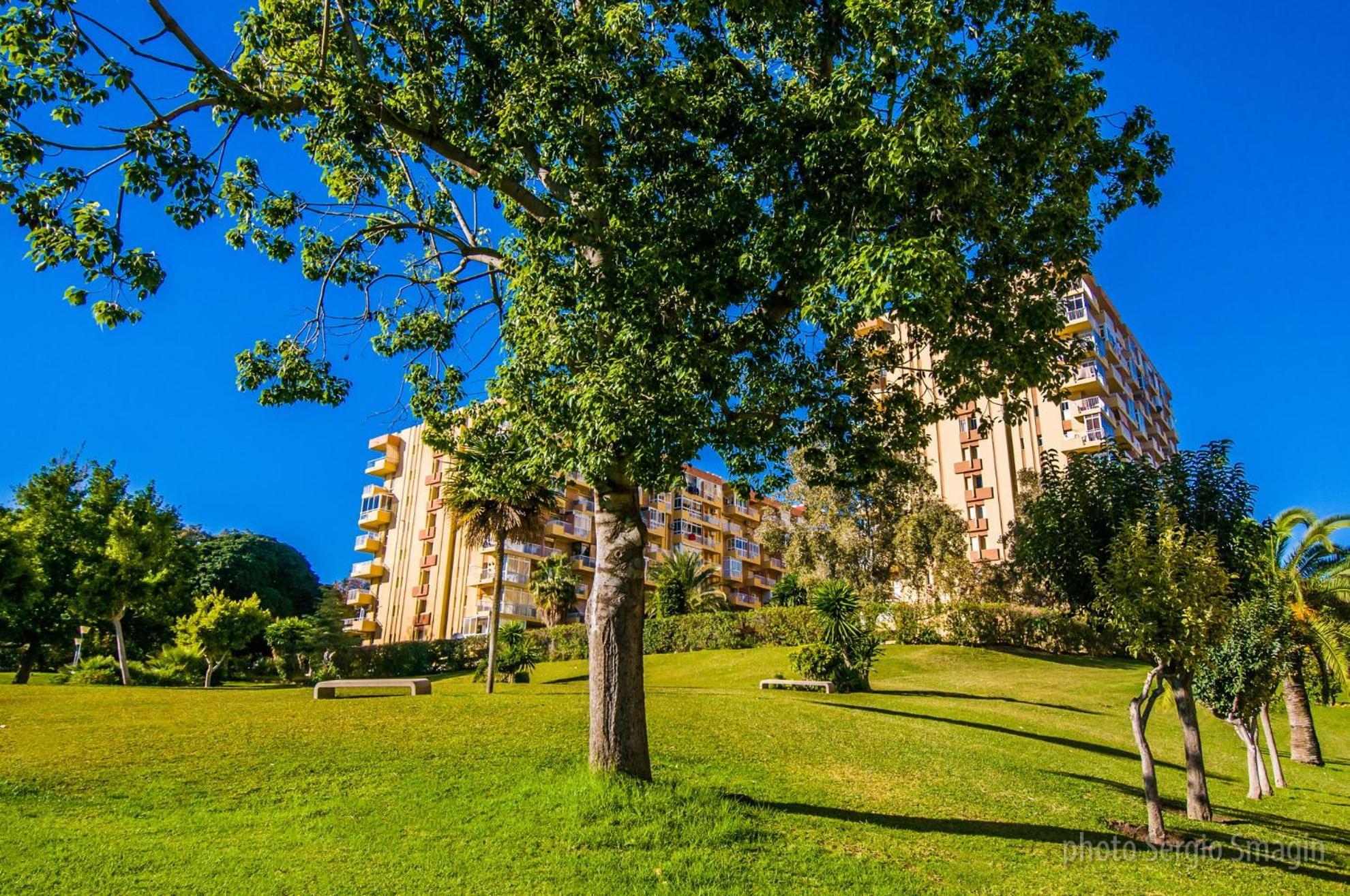 36 Jupiter Apartamento - Vista Al Jardin Y La Piscina - Excelente Wifi เบนัลมาเดนา ภายนอก รูปภาพ
